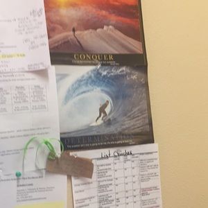 Meet your Posher, Anne